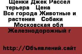 Щенки Джек Рассел терьера › Цена ­ 20 000 - Все города Животные и растения » Собаки   . Московская обл.,Железнодорожный г.